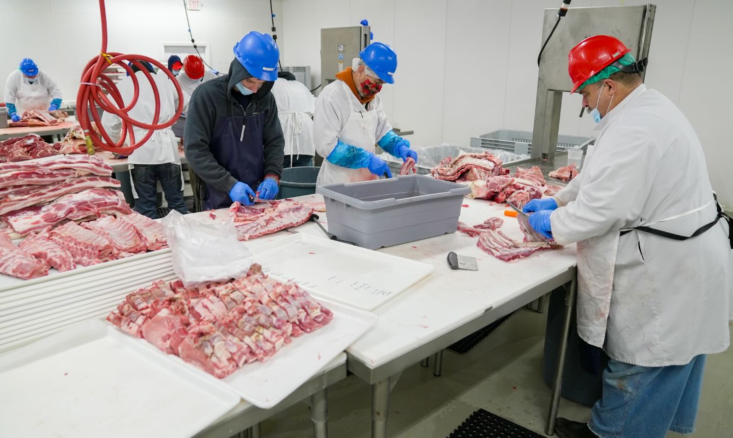 food processing